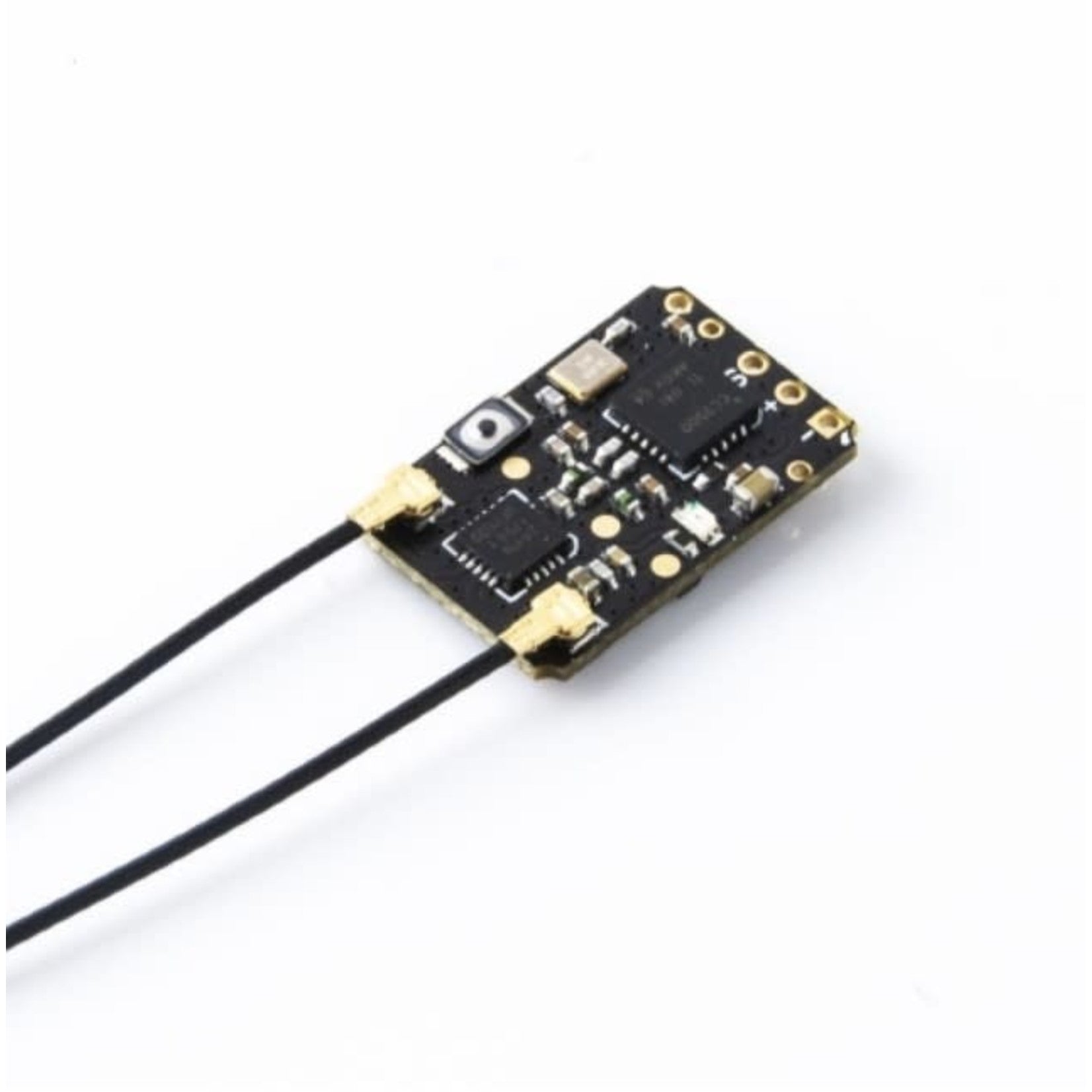 RadioMaster - R81 8ch Frsky D8 Compatible Nano Receiver with Sbus - DroneDynamics.ca